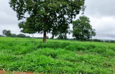 Imagem 2: Fazenda - Araguapaz - Goiás