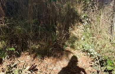 Imagem 6: Lote 420m² Bairro do Turista 2ª Etapa, Caldas Novas, GO