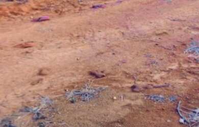 Imagem 8: Lote/Terreno para venda tem 600 metros quadrados em Centro - Nazaré Paulista...