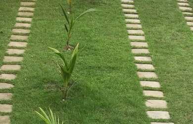 Imagem: O terreno possui 430m² de Área e está localizado em Andaraí