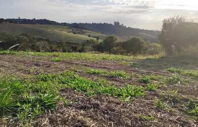 Imagem 3: Lote/Terreno para venda possui 500 metros quadrados em Nova Cerejeira - Atibaia - SP