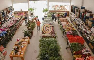 Imagem 9: Galpão/Depósito/Armazém para aluguel possui 713 metros quadrados