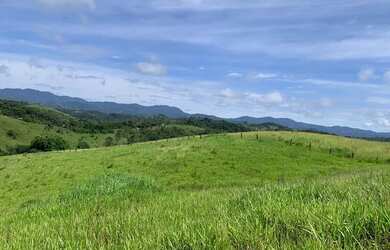 Imagem: O terreno possui 500m² de Área, Imóvel novo e está localizado