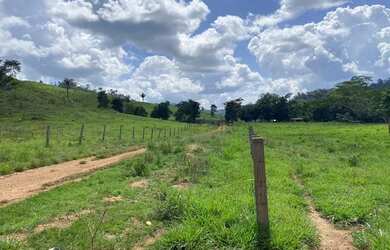 Imagem 5: FAZENDA DE 110 ALQUERES 75 ABERTO SÂO FELIX DO XINGU