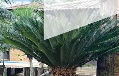 Imagem: A casa em condomínio possui 3 Dormitórios, 5 Banheiros, 3