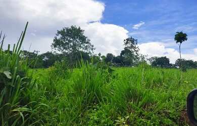 Imagem 2: Chacara Sitio Fazenda Unai MG