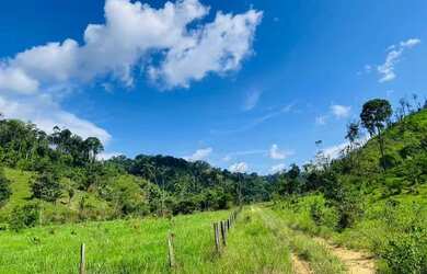 Imagem 6: FAZENDA DE 110 ALQUERES 75 ABERTO SÂO FELIX DO XINGU