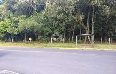 Imagem 2: TERRENO NO BAIRRO CRUZEIRO- CAXIAS DO SUL