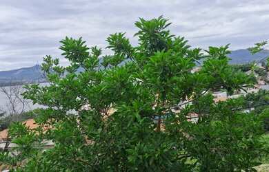 Imagem 4: Vendo ou alugo imóvel com RGI em Maricá