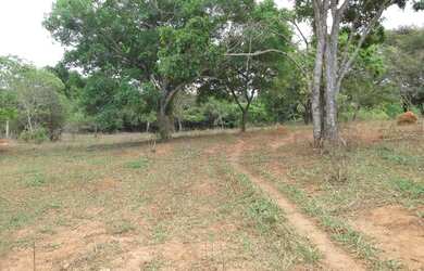 Imagem: O terreno está localizado em Jaboticatubas, MG à venda por