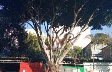 Imagem 6: Terreno à venda, 350 m² por R$ 477.000,00 - Penha - São Paulo/SP