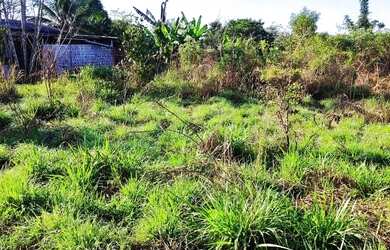 Imagem 4: Vendo terreno. 143m² de Área