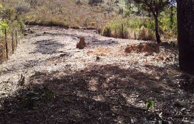 Imagem 2: vendo ou financio lote 444 metros em Juatuba bairro Dona Francisca