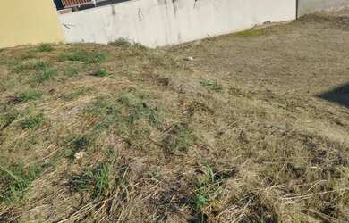 Imagem 3: Terreno, 792 m² - venda ou locação - Jardim Estoril IV - Bauru/SP