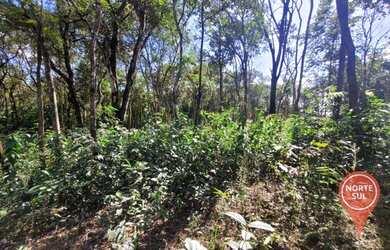 Imagem 12: Terreno à venda, 2000 m² por R$ 130.000 - Retiro do Brumado - Brumadinho/Minas Gerais