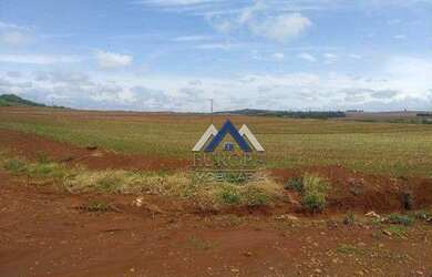 Imagem 4: Sítio à venda, 29282 m² por R$ 880.000,00 - Rural - Primeiro de Maio/PR