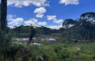 Imagem: O terreno está localizado em Urubici, SC à venda por R$350.000