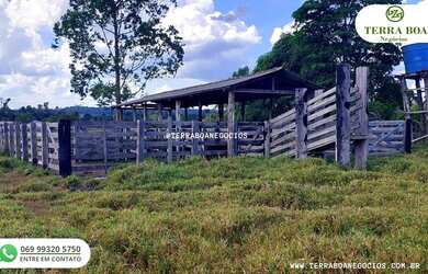 Imagem 7: SITIO 17 ALQUEIRES TODO FORMADO EM PASTO ANTES DE JACI PARANÁ
