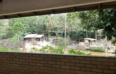 Imagem 1: Sitio em São João Batista SC 23 mil metros quadrados 700 mil