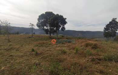 Imagem 15: Chácara à venda, 4,5 alqueires por R$ 520.000 - Guabiroba - Guarapuava/PR