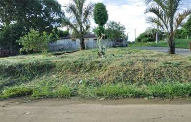 Imagem: O terreno e está localizado em Careiro da Várzea, AM à venda