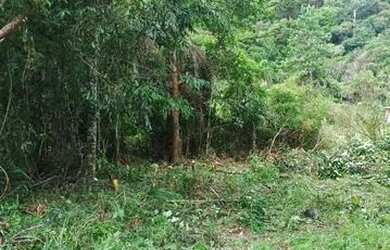 Imagem: A chácara possui 2.300m² de Área e está localizado em Guaraituba