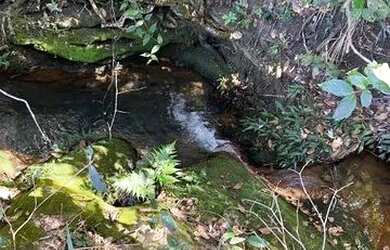 Imagem: O terreno possui 20.000m² de Área e está localizado em Setor