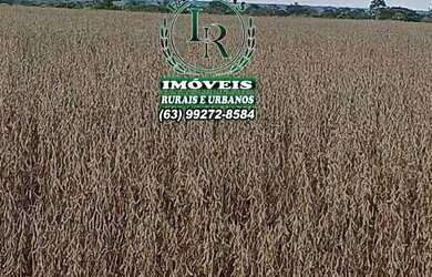 Imagem: A fazenda está localizado em Plano Diretor Sul, Palmas à venda