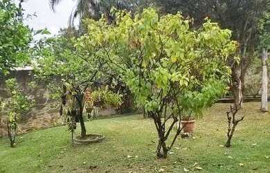Imagem 7: CASA TÉRREA - JARDIM PAULISTA - SP