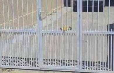 Imagem 3: Alugo casa com piscina por diária em Tramandaí