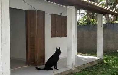 Imagem 3: Casas em Pium Casa com 2 dormitórios