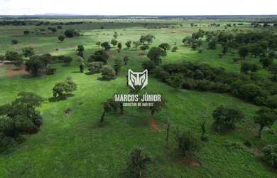 Imagem 5: FAZENDA FORMADA NA REGIÃO DE JANAUBA E CAPITÃO ENEIAS MG PARA PECUARIA...