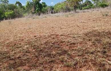 Imagem: Arrendo área 50 km de jatai para plantio de soja ou sementeira