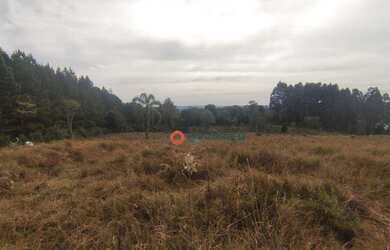 Imagem 9: Chácara à venda, 4,5 alqueires por R$ 520.000 - Guabiroba - Guarapuava/PR