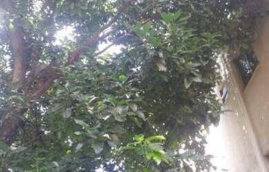 Imagem 5: Terreno à venda, 2000 m² por R$ 1.200.000 - Trevo - Belo Horizonte/MG