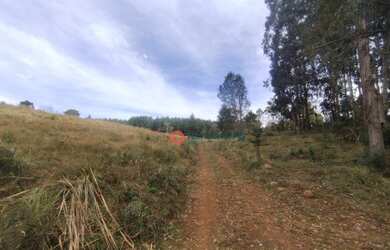 Imagem 16: Chácara à venda, 4,5 alqueires por R$ 520.000 - Guabiroba - Guarapuava/PR