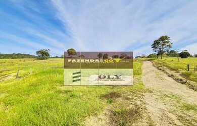Imagem: A fazenda está localizado em Nossa Senhora da Penha, Goianésia