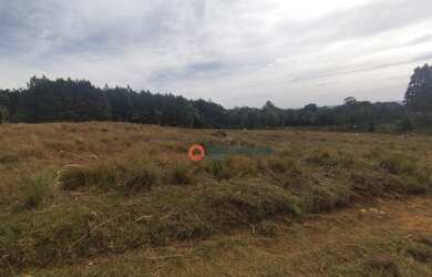 Imagem 13: Chácara à venda, 4,5 alqueires por R$ 520.000 - Guabiroba - Guarapuava/PR