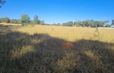 Imagem: A chácara possui 1.000m² de Área e está localizado em Goianira