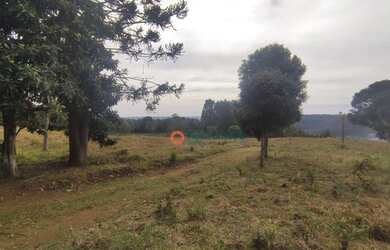 Imagem 11: Chácara à venda, 4,5 alqueires por R$ 520.000 - Guabiroba - Guarapuava/PR