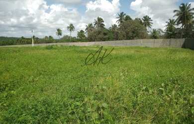 Imagem 7: Lote do condomínio no ponto mais alto e com a melhor vista da Marina...