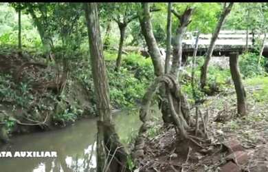 Imagem 6: Fazenda. 289m² de Área