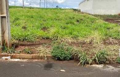 Imagem 3: Vendo lote beira rio II. 250m² de Área