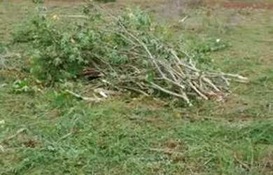 Imagem 4: Terreno à venda, 1527 m² por R$ 95.000,00 - Barbosa - Alvorada do Sul/PR