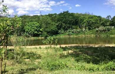 Imagem: O terreno possui 20.000m² de Área e está localizado em Nereu