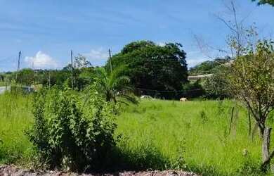 Imagem: O terreno possui 360m² de Área e está localizado em São