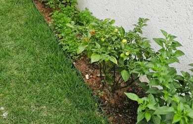 Imagem 7: Casa em Condomínio para Venda em Maricá, Inõa, 3 dormitórios, 1 suíte,...