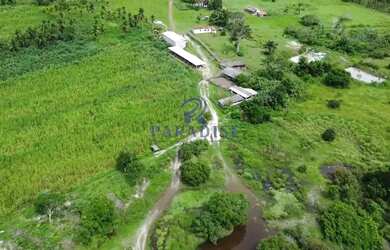 Imagem: A fazenda possui 1960000m² de Área e está localizado em Cardeal