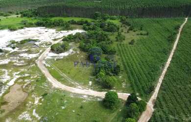 Imagem 5: Fazenda, Centro, Cardeal da Silva - R$ 5 mi, Cod 68601