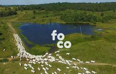 Imagem: A fazenda possui 25m² de Área e está localizado em Campo